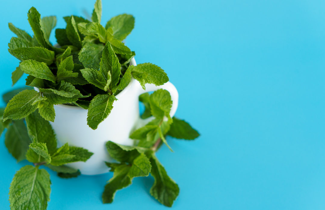 Keep It in the Pantry: Peppermint